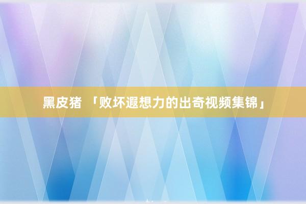 黑皮猪 「败坏遐想力的出奇视频集锦」