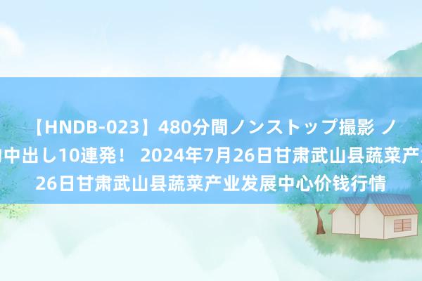 【HNDB-023】480分間ノンストップ撮影 ノーカット編集で本物中出し10連発！ 2024年7月26日甘肃武山县蔬菜产业发展中心价钱行情