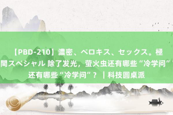 【PBD-210】濃密、ベロキス、セックス。極上接吻性交 8時間スペシャル 除了发光，萤火虫还有哪些“冷学问”？｜科技圆桌派