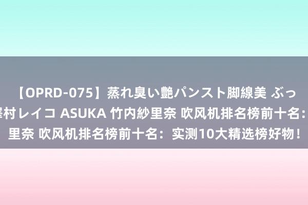 【OPRD-075】蒸れ臭い艶パンスト脚線美 ぶっかけゴックン大乱交 澤村レイコ ASUKA 竹内紗里奈 吹风机排名榜前十名：实测10大精选榜好物！