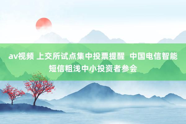 av视频 上交所试点集中投票提醒  中国电信智能短信粗浅中小投资者参会