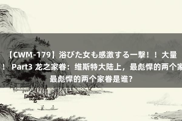 【CWM-179】浴びた女も感激する一撃！！大量顔射！！！ Part3 龙之家眷：维斯特大陆上，最彪悍的两个家眷是谁？