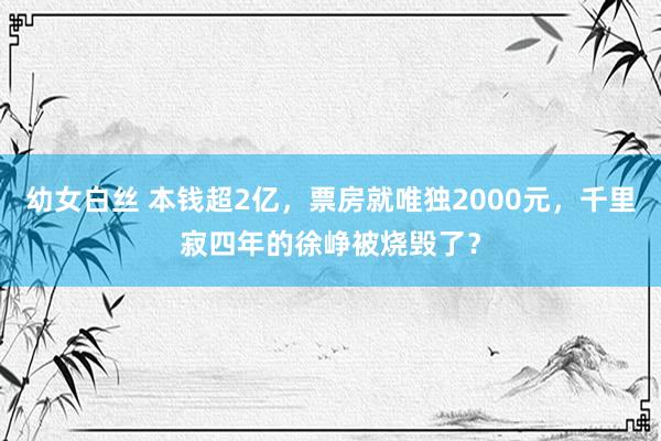 幼女白丝 本钱超2亿，票房就唯独2000元，千里寂四年的徐峥被烧毁了？