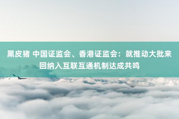 黑皮猪 中国证监会、香港证监会：就推动大批来回纳入互联互通机制达成共鸣