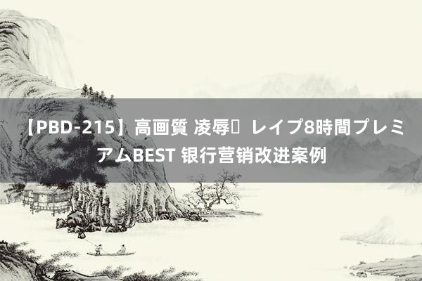 【PBD-215】高画質 凌辱・レイプ8時間プレミアムBEST 银行营销改进案例