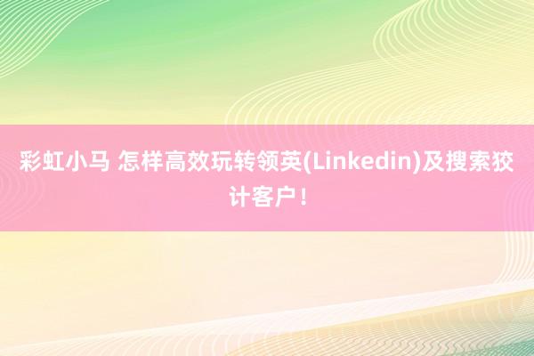 彩虹小马 怎样高效玩转领英(Linkedin)及搜索狡计客户！