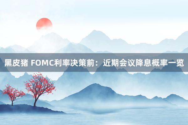 黑皮猪 FOMC利率决策前：近期会议降息概率一览