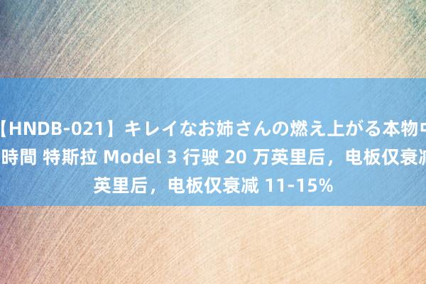 【HNDB-021】キレイなお姉さんの燃え上がる本物中出し交尾4時間 特斯拉 Model 3 行驶 20 万英里后，电板仅衰减 11-15%