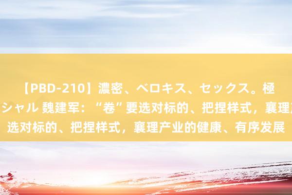 【PBD-210】濃密、ベロキス、セックス。極上接吻性交 8時間スペシャル 魏建军：“卷”要选对标的、把捏样式，襄理产业的健康、有序发展