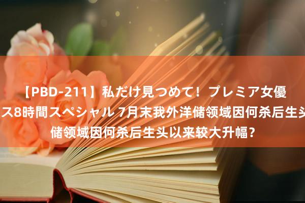 【PBD-211】私だけ見つめて！プレミア女優と主観でセックス8時間スペシャル 7月末我外洋储领域因何杀后生头以来较大升幅？