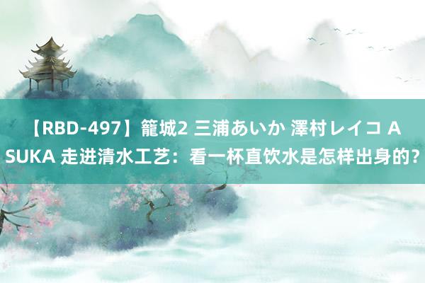 【RBD-497】籠城2 三浦あいか 澤村レイコ ASUKA 走进清水工艺：看一杯直饮水是怎样出身的？