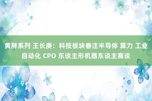 黄胖系列 王长庚：科技板块眷注半导体 算力 工业自动化 CPO 东谈主形机器东谈主赛谈