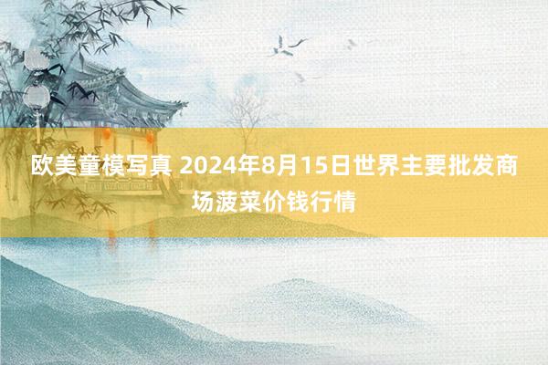 欧美童模写真 2024年8月15日世界主要批发商场菠菜价钱行情