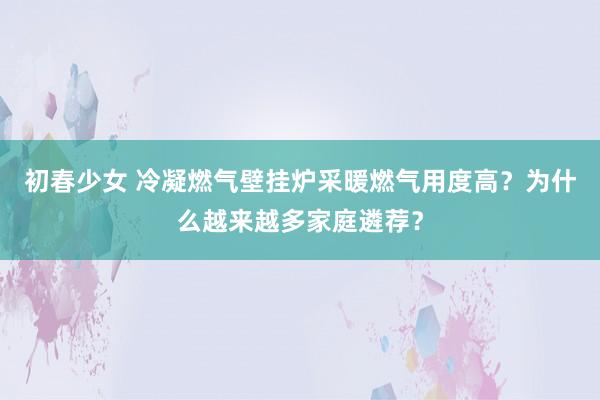 初春少女 冷凝燃气壁挂炉采暖燃气用度高？为什么越来越多家庭遴荐？