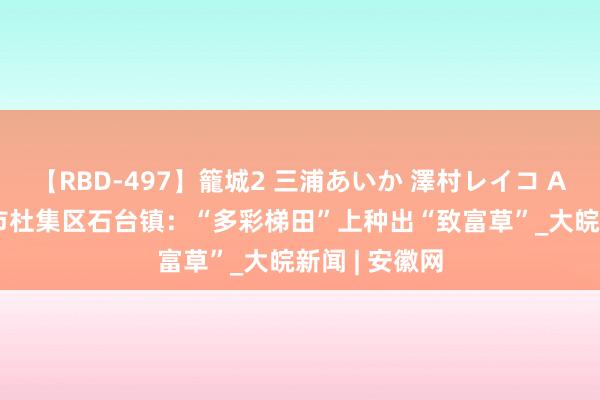 【RBD-497】籠城2 三浦あいか 澤村レイコ ASUKA 淮北市杜集区石台镇：“多彩梯田”上种出“致富草”_大皖新闻 | 安徽网