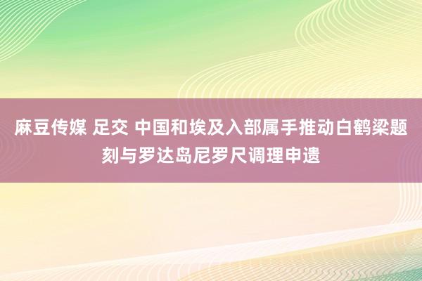 麻豆传媒 足交 中国和埃及入部属手推动白鹤梁题刻与罗达岛尼罗尺调理申遗