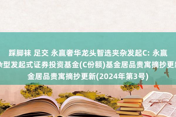 踩脚袜 足交 永赢奢华龙头智选夹杂发起C: 永赢奢华龙头智选夹杂型发起式证券投资基金(C份额)基金居品贵寓摘抄更新(2024年第3号)