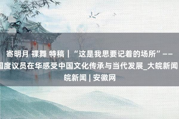 寄明月 裸舞 特稿｜“这是我思要记着的场所”——发展中国度议员在华感受中国文化传承与当代发展_大皖新闻 | 安徽网