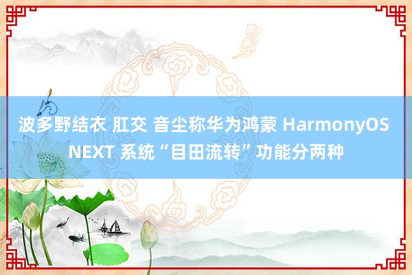 波多野结衣 肛交 音尘称华为鸿蒙 HarmonyOS NEXT 系统“目田流转”功能分两种