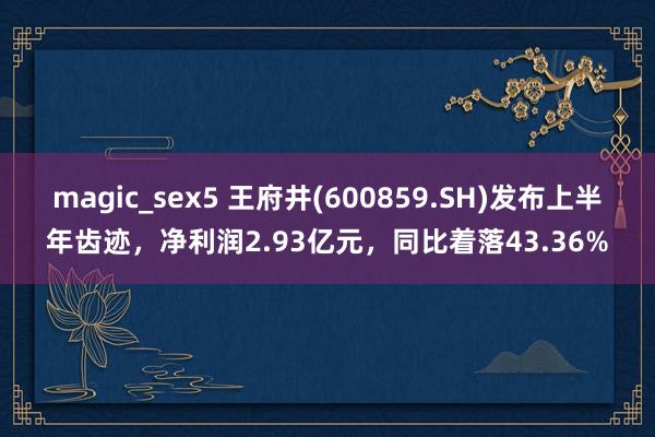 magic_sex5 王府井(600859.SH)发布上半年齿迹，净利润2.93亿元，同比着落43.36%