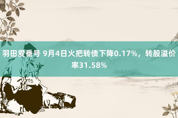 羽田爱番号 9月4日火把转债下降0.17%，转股溢价率31.58%