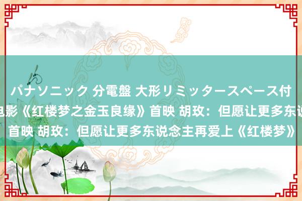 パナソニック 分電盤 大形リミッタースペース付 露出・半埋込両用形 电影《红楼梦之金玉良缘》首映 胡玫：但愿让更多东说念主再爱上《红楼梦》